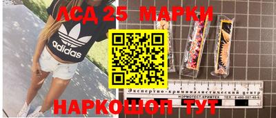 прущие грибы Малоярославец