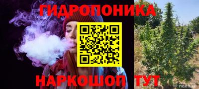 прущие грибы Малоярославец